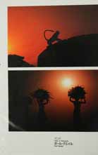 sunset silhouette India