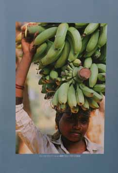 banana using ones head Gujurat State India